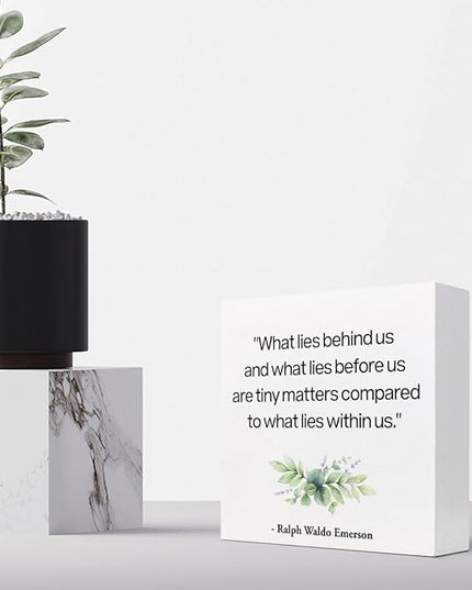 Inspirational Wood Box Sign Desk Decor,What Lies Before Us and What Lies Before Us Quote Wood Plaque Signs,Rustic Positive Wooden Block Sign Decor for Home Office Shelf Desk Table Decoration C1065 - LeafyLoom