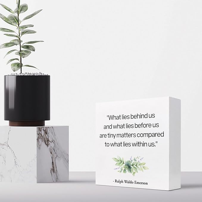 Inspirational Wood Box Sign Desk Decor,What Lies Before Us and What Lies Before Us Quote Wood Plaque Signs,Rustic Positive Wooden Block Sign Decor for Home Office Shelf Desk Table Decoration C1065 - LeafyLoom
