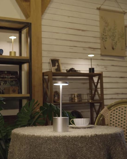 Cordless Table Lamp, Rechargeable LED Battery 5000mAh Metal USB Portable Powered Desk Lamp, 3 Levels Brightness Light for Restaurants Outdoor (10.25in Silver) - LeafyLoom