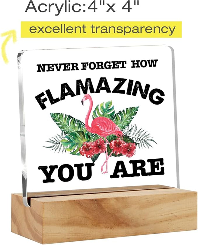 Motivational Flamingo Acrylic Desk Sign Decoration Plaque Never Forget How Flamazing You are Desk Sign Keepsake Home Office Room Desk Decor - LeafyLoom