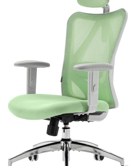SIHOO M18 Ergonomic Office Chair, Computer Desk Chair with Adjustable Headrest and Lumbar Support, High Back Executive Swivel Chair for Home Office (Light Green) - LeafyLoom