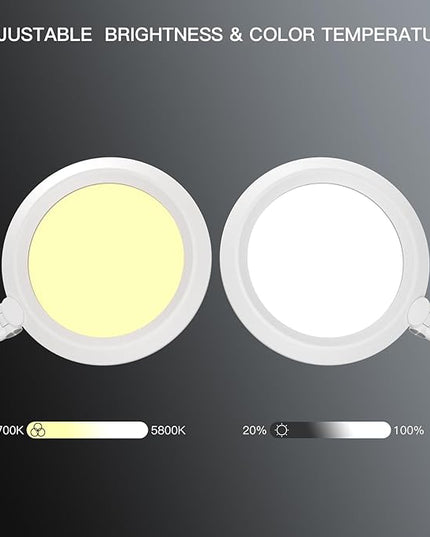LED Desk Lamp for Video Conferencing, Webcam Light, Reading Light, Dimmable 4 Color Modes, 18W Desk Light, Clip on Light, Eye Care Zoom Light, for Home Office and Office Use - LeafyLoom