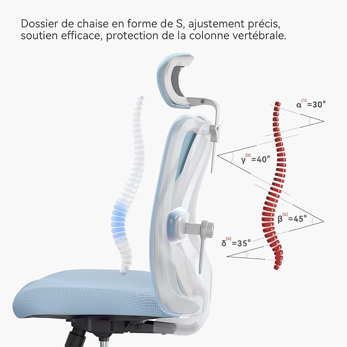 SIHOO M18 Ergonomic Office Chair, Computer Desk Chair with Adjustable Headrest and Lumbar Support, High Back Executive Swivel Chair for Home Office (Light Blue) - LeafyLoom