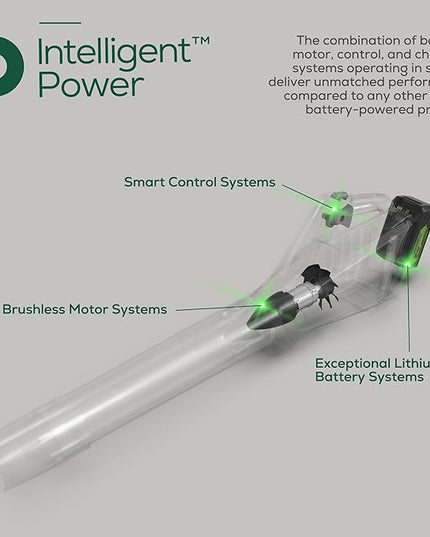 Greenworks 24V (110 MPH / 450 CFM / 125+ Compatible Tools) Cordless Brushless Axial Leaf Blower, 4.0Ah Battery and Charger Included - LeafyLoom