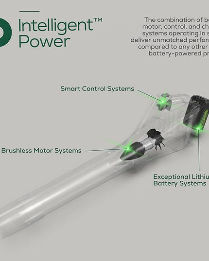 Greenworks 24V (110 MPH / 450 CFM / 125+ Compatible Tools) Cordless Brushless Axial Leaf Blower, Tool Only - LeafyLoom