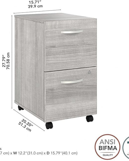 Bush Business Furniture HYF116PGSU-Z Hybrid 2-Drawer Mobile File Cabinet, Letter/Legal, Platinum Gray, 20-Inch, - LeafyLoom