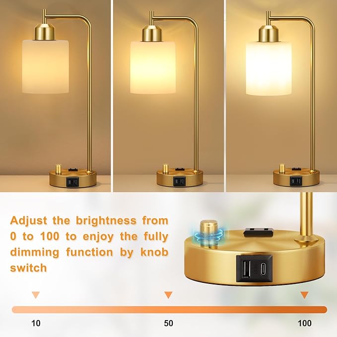 Innqoo Gold Lamp for Bedroom - Industrial Bedside Table Lamp with USB Port and Outlet, Fully Dimmable Nightstand Lamp with Opal Glass Shade, Small Desk Lamps for Home Office - LeafyLoom