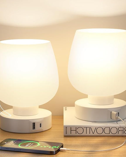 Kakanuo Bedside Table Lamps with Glass Shade, Touch Control, Dual USB A+C Charging Ports, Nightstand Lamps, 3-Way Dimmable, Bulbs Included, Set of 2 - LeafyLoom