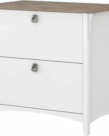 Bush Furniture Salinas 2 Drawer Lateral File Cabinet in Pure White and Shiplap Gray - LeafyLoom
