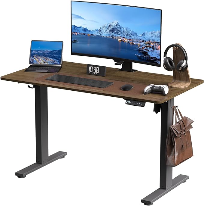 Electric Standing Desk Height Adjustable - 40 x 24 Inches Sit Stand up Desk & Memory Preset Ergonomic Rising Desks for Work, Home Office Workstation Gaming Rising Desk Study Table - LeafyLoom