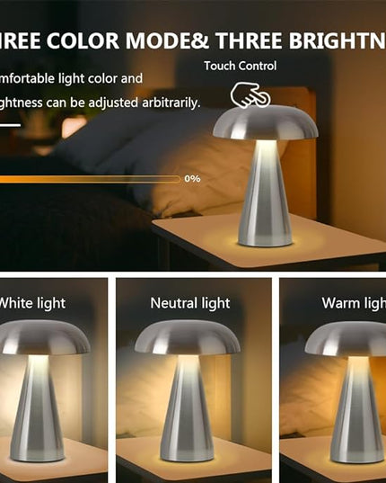 Portable Metal Desk Lamp,3-Color Touch Control, Rechargeable Battery - Ideal Bedside Lamp for Bedroom Nightstand - LeafyLoom