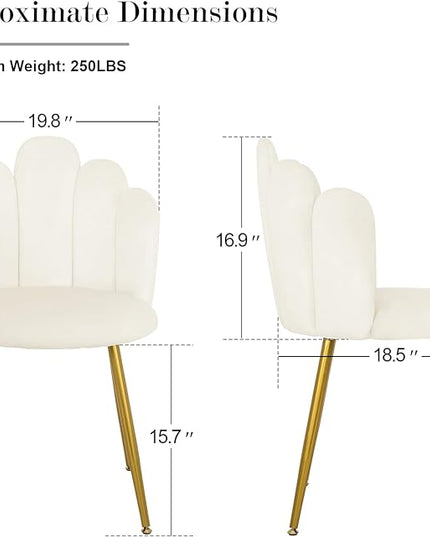 Vanity Chair for Makeup Room - Midcentury Modern Accent Chair for Living Room Bedroom, Makeup Chair with Back Support Velvet Chair with Gold Legs (Cream) - LeafyLoom