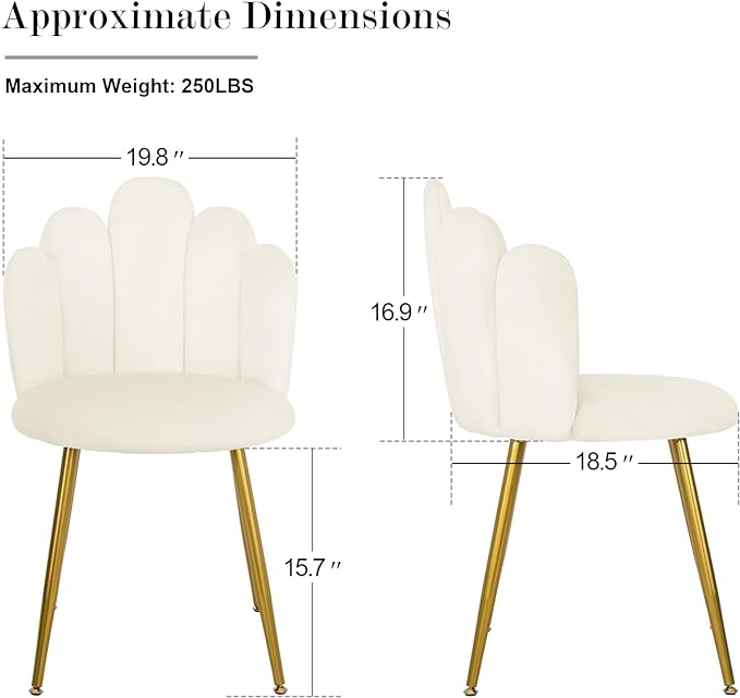 Vanity Chair for Makeup Room - Midcentury Modern Accent Chair for Living Room Bedroom, Makeup Chair with Back Support Velvet Chair with Gold Legs (Cream) - LeafyLoom