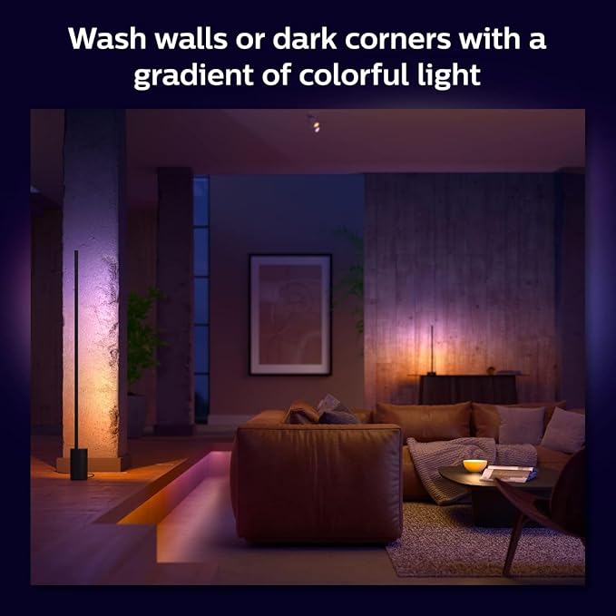 Philips Hue Signe Smart Floor Lamp, Black - White and Color Ambiance LED Color-Changing Light - 2 Pack - Control with Hue App - Compatible with Alexa, Google Assistant, and Apple Homekit - LeafyLoom