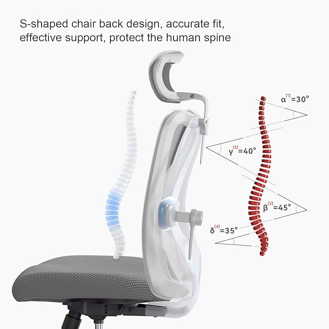 SIHOO M18 Ergonomic Office Chair, Computer Desk Chair with Adjustable Headrest and Lumbar Support, High Back Executive Swivel Chair for Home Office (Dark Gray) - LeafyLoom