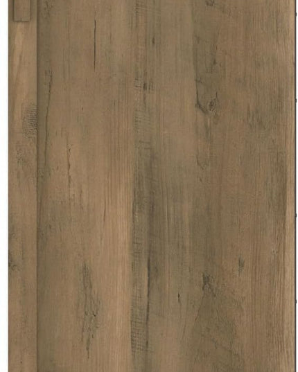Bush Furniture Salinas Accent Storage Cabinet with Doors in Reclaimed Pine - LeafyLoom