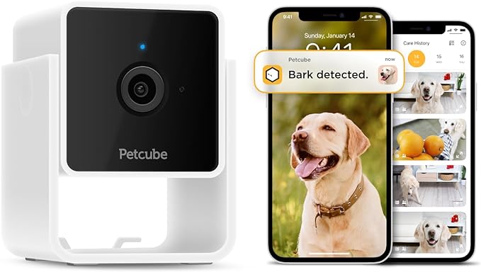 Petcube Cam and Care Coverage Subscription | Indoor Wi-Fi Pet and Security Camera with Phone App, Cats and Dogs Monitor with 2-Way Audio and Video, Night Vision Petcube