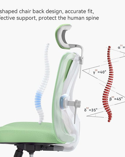 SIHOO M18 Ergonomic Office Chair, Computer Desk Chair with Adjustable Headrest and Lumbar Support, High Back Executive Swivel Chair for Home Office (Light Green) - LeafyLoom