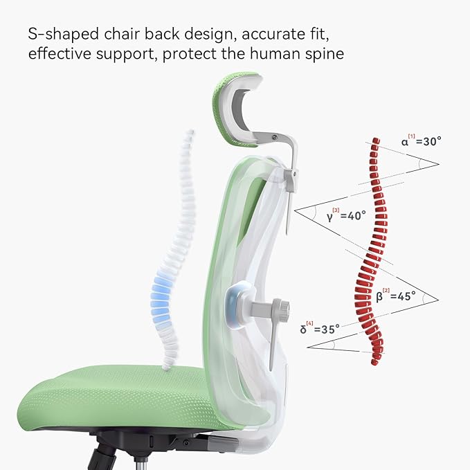 SIHOO M18 Ergonomic Office Chair, Computer Desk Chair with Adjustable Headrest and Lumbar Support, High Back Executive Swivel Chair for Home Office (Light Green) - LeafyLoom