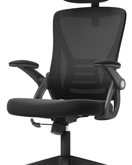 Ergonomic Office Chair, Mid Back Desk Chair with Adjustable Height, Swivel Chair with Flip-Up Arms and Lumbar Support, Breathable Mesh Computer Chair with Headrest (Black) - LeafyLoom