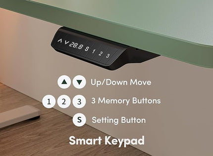 FEZIBO Electric Standing Desk, 48 x 24 Inches Height Adjustable Stand up Desk, Sit Stand Home Office Desk, Computer Desk, Green - LeafyLoom