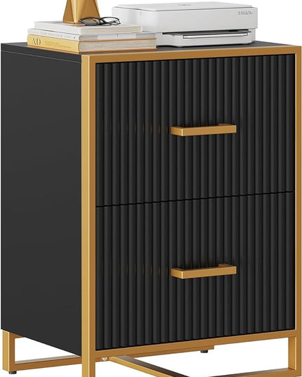 YITAHOME 2 Drawer File Cabinet, Lateral Filing Cabinet for Home Office, Black and Gold - LeafyLoom