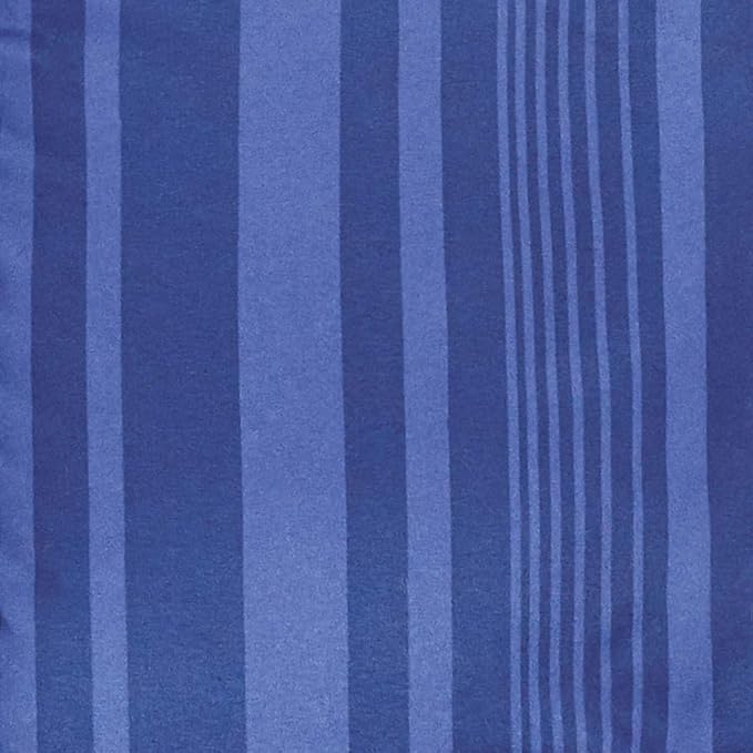 Amazon Basics Lightweight Microfiber Bed-in-a-Bag Comforter 5-Piece Bedding Set, Twin/Twin XL, Blue Calvin Striped - LeafyLoom