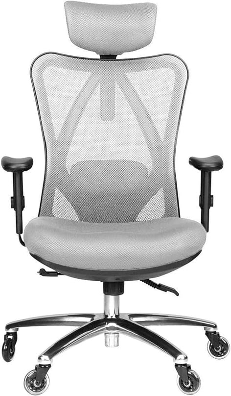 Duramont Ergonomic Office Chair with Adjustable Lumbar Support, High, Head and Arm Rests Back Pain Chairs with Breathable Mesh - Thick Seat Cushion, Reclines Desk Chair Rollerblade Wheels GREY - LeafyLoom