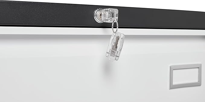 2 Drawer Metal Lateral Lock and Card Holder,Office Vertical Files Storage Cabinets w/Heavy 3 Section Slide Rail & Breathable Holes,for Legal/Letter/A4,Black+White - LeafyLoom