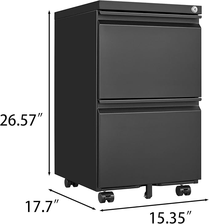 2 Drawer Mobile Lock and Casters,Pre-Assembled Metal Office Storage Filing Cabinets w/Anti-Dumping Fifth Round,for Letter/Legal/A4 Size,Black - LeafyLoom