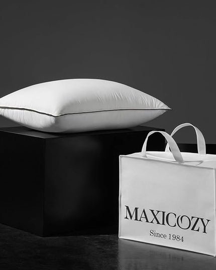Hungarian Goose Down Pillows Queen Size, Fluffy 3-Chamber Bed Pillows for Sleeping, Luxurious Soft Cloud Pillow for Back, Stomach or Side Sleepers(Queen, 1 Pack) - LeafyLoom