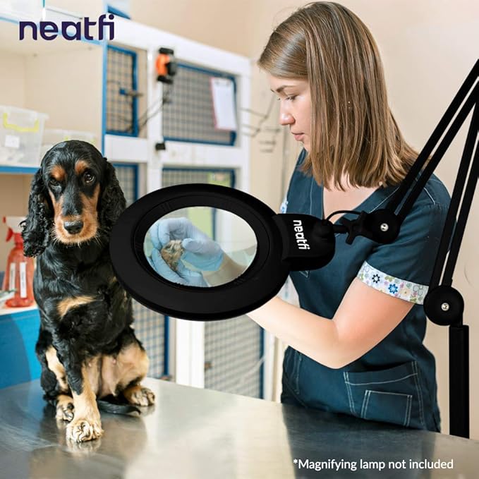 Neatfi 6-Wheel Rolling Base Floor Stand, Compatible for LED Desk Lamp and Magnifying Lamps, Versatile Stand for Work, Study, and Needlework (Black) - LeafyLoom
