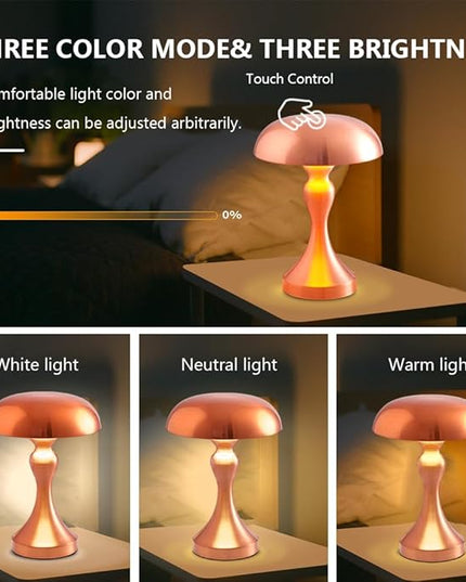 Portable Metal Desk Lamp,3-Color Touch Control, Rechargeable Battery - Ideal Bedside Lamp for Bedroom Nightstand - LeafyLoom