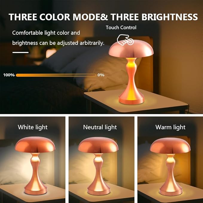 Portable Metal Desk Lamp,3-Color Touch Control, Rechargeable Battery - Ideal Bedside Lamp for Bedroom Nightstand - LeafyLoom