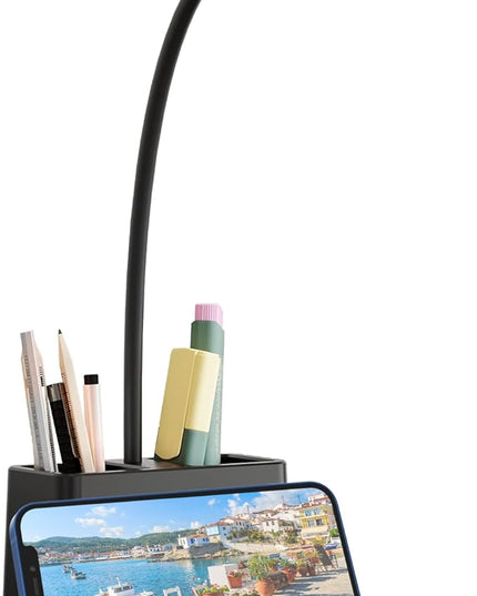 Battery Operated Desk Lamp, Small Desk Light for Home Office, Rechargeable Desktop Lamp, LED Portable Lamp with Adjustable Gooseneck, Black Study Reading Lamp for Kids - LeafyLoom