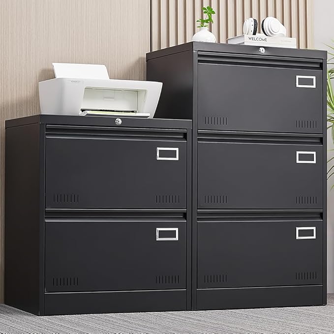 2 Drawer Lateral Lock and Card Holder, Multifunctional Metal Filing Cabinets w/Heavy 3 Section Slide Rail & Breathable Holes,for Legal/Letter/A4,Black - LeafyLoom