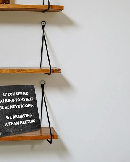 Funny Office Desk Signs, Funny Coworker Gifts for Women Friends, Boss, Colleague, Humorous Decorations On Shelf Table Desk for Home Office dksg14 - LeafyLoom