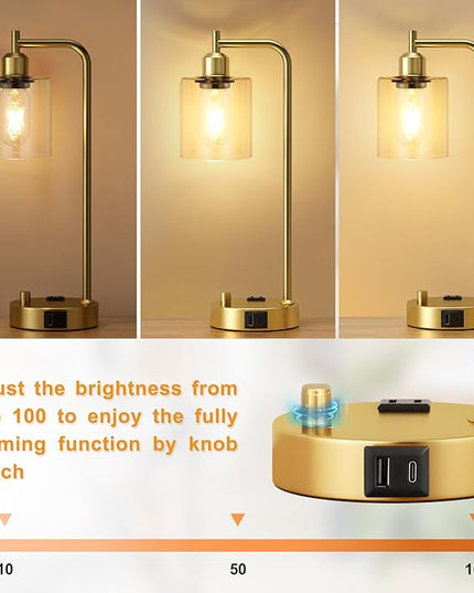 Industrial Table Lamps for Bedroom Set of 2 - Fully Dimmable Bedside Lamps with USB Ports and Outlet, Gold Nightstand Lamps with Clear Glass Shade for Living Room, Desk Lamps for Office Reading - LeafyLoom