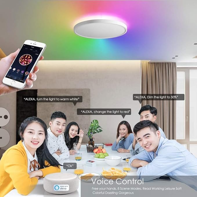 TALOYA Smart Ceiling Light Fixture 10 Inch Flush Mount Led with RGB Night Light, Compatible with Alexa Google Assistant, 2.4G WiFi Ceiling Mount Lamp for Kids’ Room Taloya