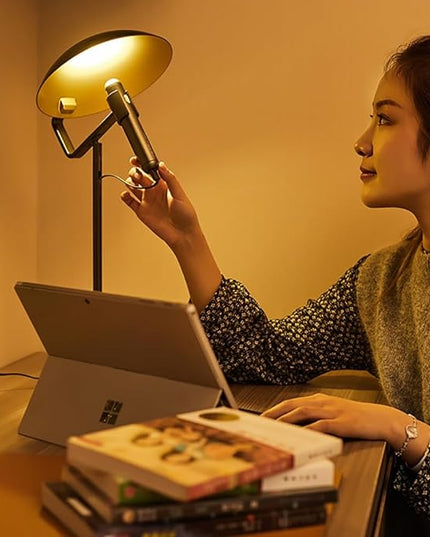 Rechargeable USB Flashlight Desk Lamp，Bedside Lamps,Desk Lamps，LED Office Lamp,Detachable USB Night Light，Multifunction Desktop LED Table Lamp,Desk Lamp for Living Room, Bedroom (Black) - LeafyLoom