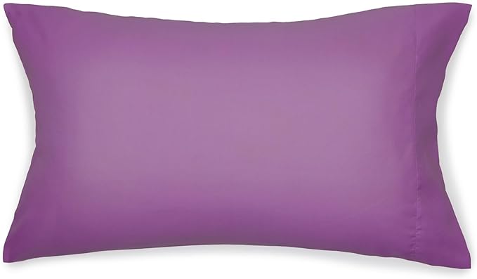 Amazon Basics 5 Piece Microfiber Kid's Bed-in-a-Bag Bedding Set, Twin, Bluish Flowers, Floral - LeafyLoom