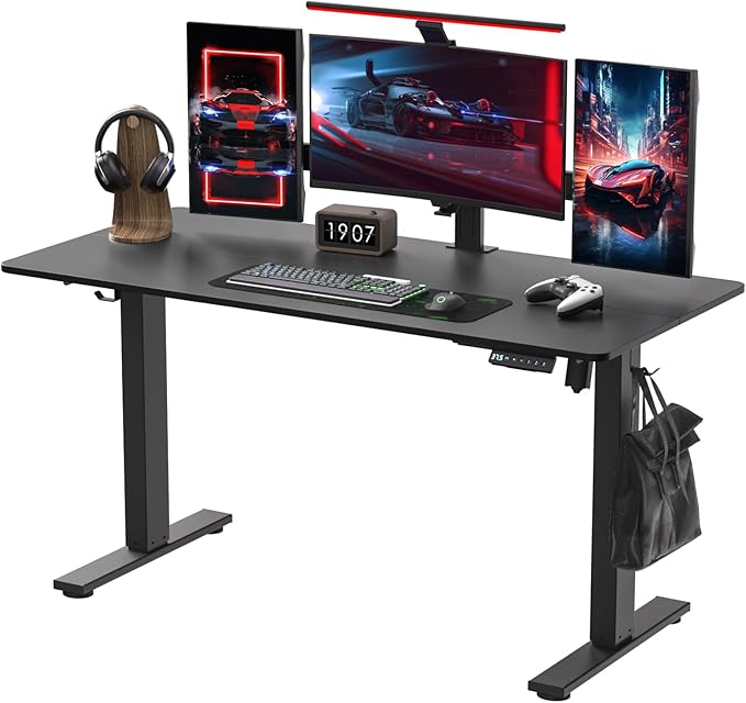Electric Standing Desk Height Adjustable - 55 x 24 Inches Sit Stand up Desk & Memory Preset Ergonomic Rising Desks for Work, Home Office Workstation Gaming Rising Desk Study Table - LeafyLoom