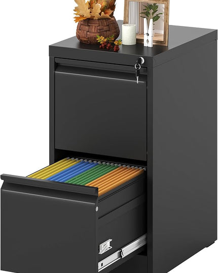 Vertical File Cabinet with Drawers, 2 Drawer File Cabinet for Home Office, Locking File Cabinet Hanging Files for A4/ Legal/Letter, Black - LeafyLoom