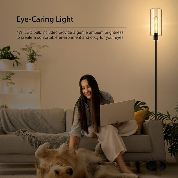 BoostArea Floor Lamp for Living Room, Modern Standing Lamp Stand Up Lamp with Glass Lampshade, 4W Bulb Included, Pole Lamp Tall Lamps for Bedroom, Living Room, Office, Kids Room, Reading - LeafyLoom