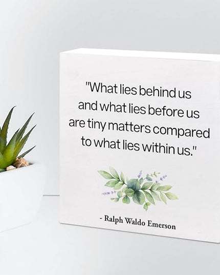 Inspirational Wood Box Sign Desk Decor,What Lies Before Us and What Lies Before Us Quote Wood Plaque Signs,Rustic Positive Wooden Block Sign Decor for Home Office Shelf Desk Table Decoration C1065 - LeafyLoom