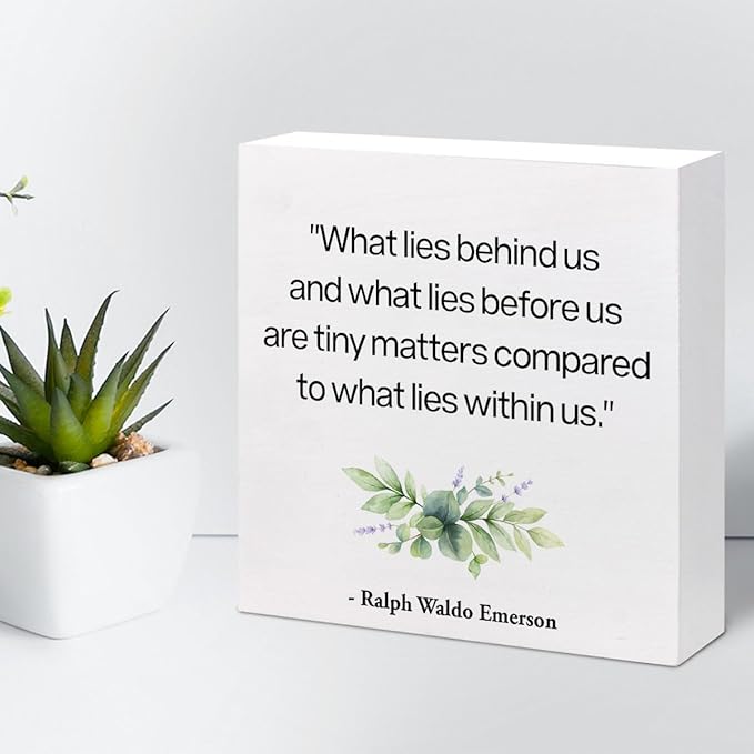 Inspirational Wood Box Sign Desk Decor,What Lies Before Us and What Lies Before Us Quote Wood Plaque Signs,Rustic Positive Wooden Block Sign Decor for Home Office Shelf Desk Table Decoration C1065 - LeafyLoom