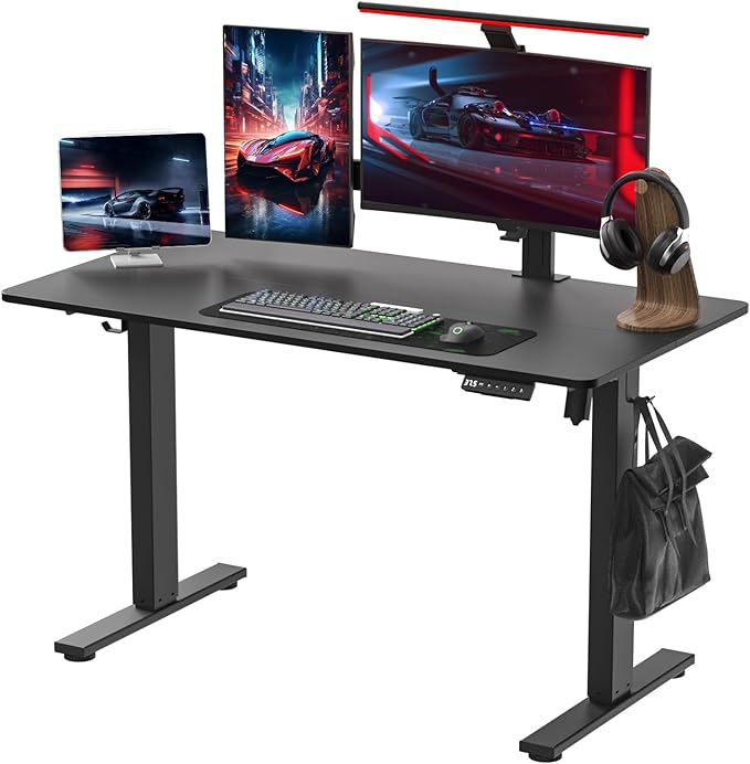 Electric Standing Desk Height Adjustable - 48 x 24 Inches Sit Stand up Desk & Memory Preset Ergonomic Rising Desks for Work, Home Office Workstation Gaming Rising Desk Study Table - LeafyLoom