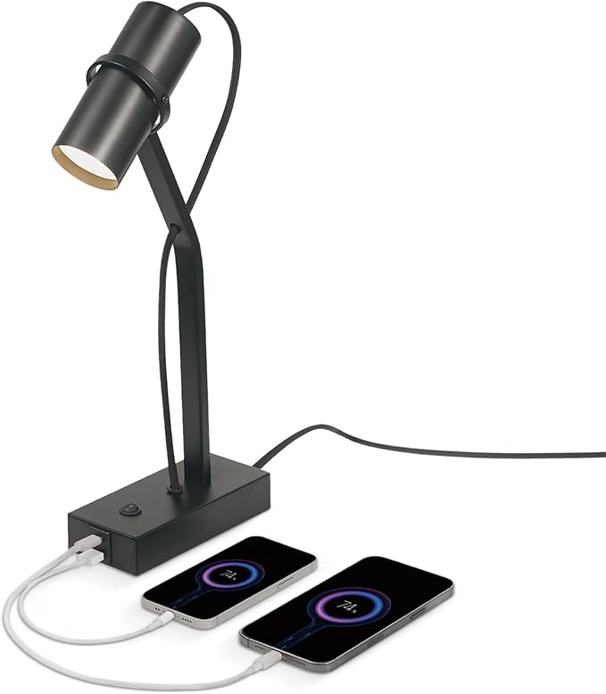 Globe Electric MRDK by Globe Series.01.TL 16" LED Desk Lamp, 2.1A Combined USB Port and USB-C Port, 5 Watts, 240 Lumens, 3000 Kelvin Warm White, Adjustable Shade, Matte Black - LeafyLoom