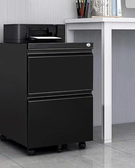 Panana 2-Drawer Mobile File Cabinet with Lock, Commercial Vertical Cabinet, Rolling Filing Cabinet for Letter/A4 Size (Black) - LeafyLoom