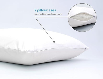 Talalay Natural Latex Foam Pillow DreamLogix - Standard Size Firm Pillow for Sleeping, Side & Back Sleepers, 100% Cotton Cover, Back & Neck Support, Pain Relief (Firm, Standard Size 24''x16''x5'') - LeafyLoom
